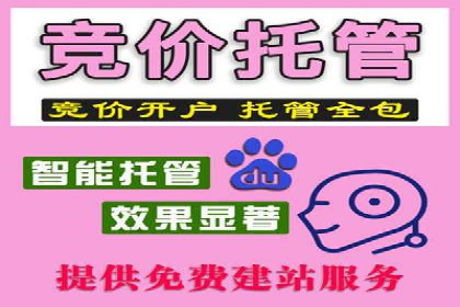 搜索开户返点案例分析：如何快速赚取收益